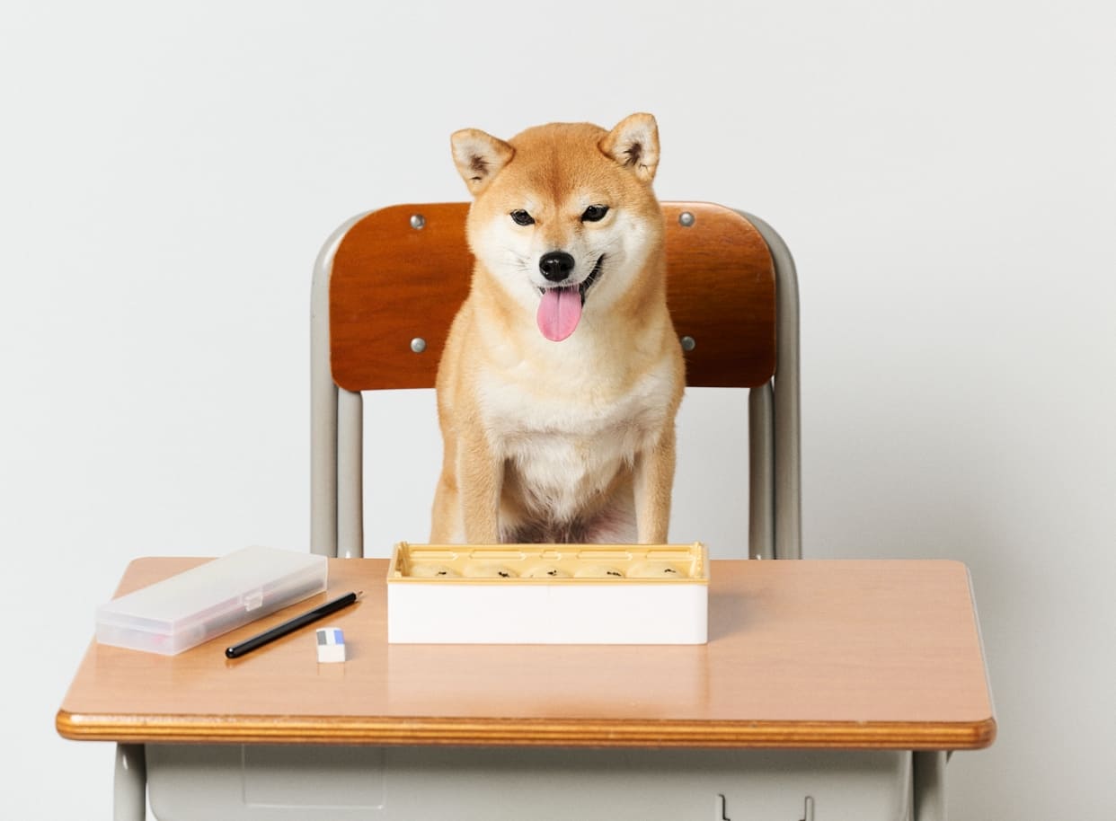 コンセプト撮影