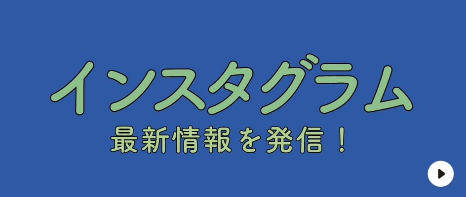 インスタグラム