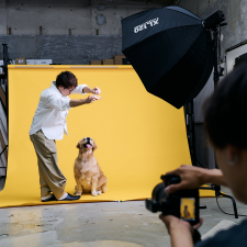 犬の写真館とは？愛犬の「今」を残す特別な場所