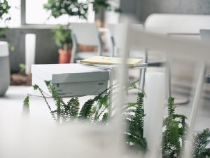 ミニマルな暮らしに最適！C STUDIO BOXの活用アイデア5選