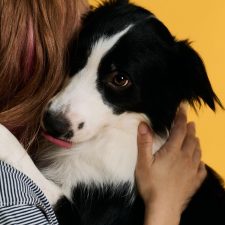 ただの写真じゃない。思い出を形にする犬専用写真館「ワオーン」のコンセプト