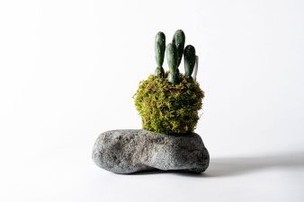 自然光とストロボの違い