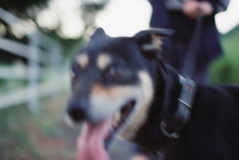 “なんとなく撮る”から“意図して撮る”へ-写真が変わる5つの視点-