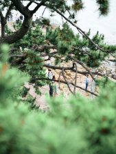 写真構図の基本7選｜初心者でもわかる撮り方のコツ