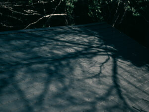 写真を残す家庭と、残さない家庭。その違いはどこにある？