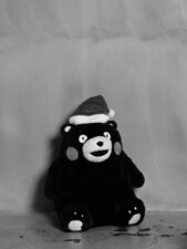 クリスマスデートを特別な思い出に｜熊本セルフ写真館でカップル撮影しませんか？