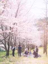 熊本で家族写真を撮るなら季節はいつがいい？それぞれの良さと選び方