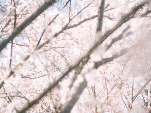 熊本駅周辺で過ごす休日は、写真があると見え方が変わる