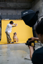 プロが教える！犬の写真がもっとかわいくなるポーズ20選